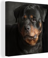 Canvas Schilderij Portret van Rottweiler hond in de studio - 90x90 cm - Wanddecoratie