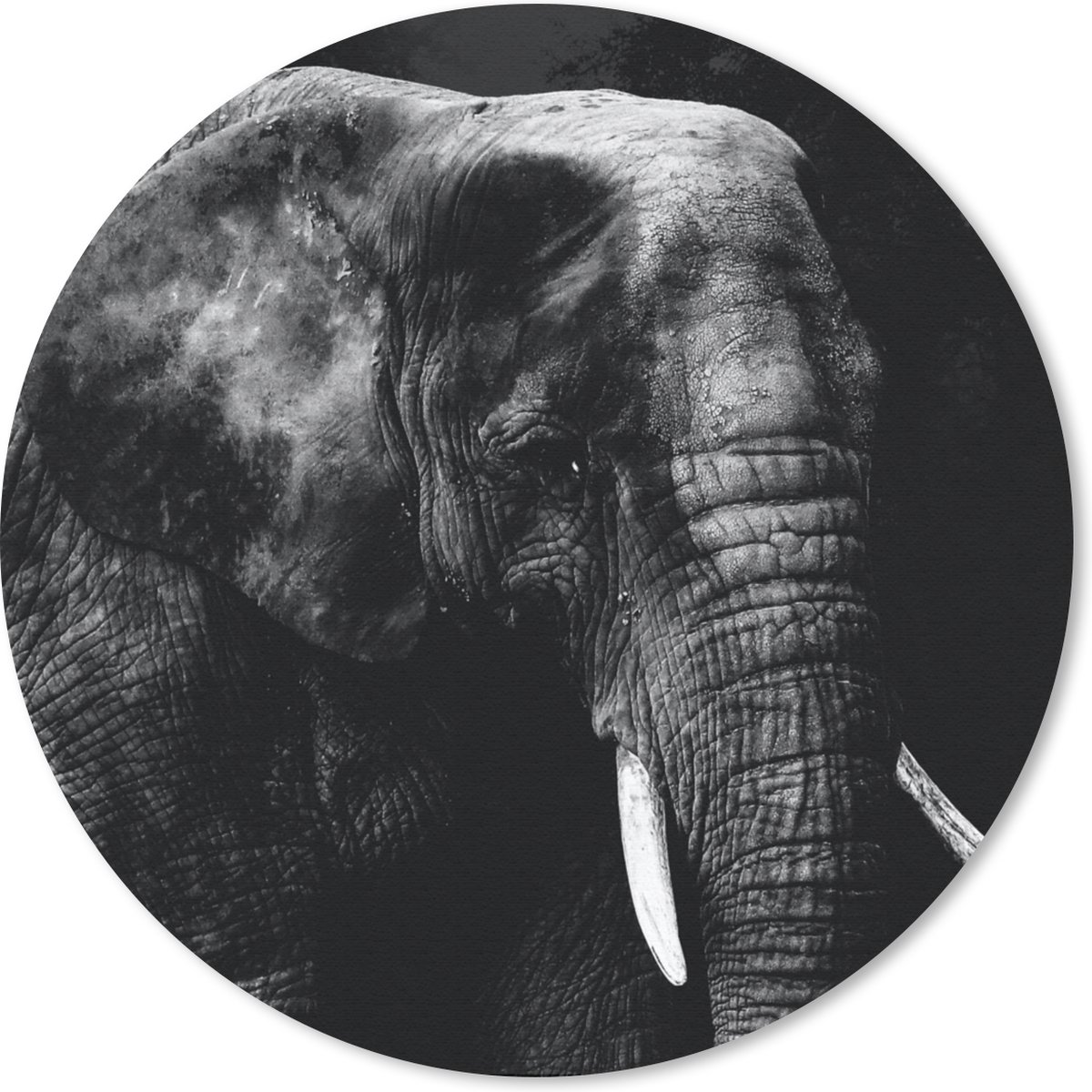 Muismat rond 30x30 cm - Mousepad Olifant - Dieren - Zwart - Wit - Ronde muismatten