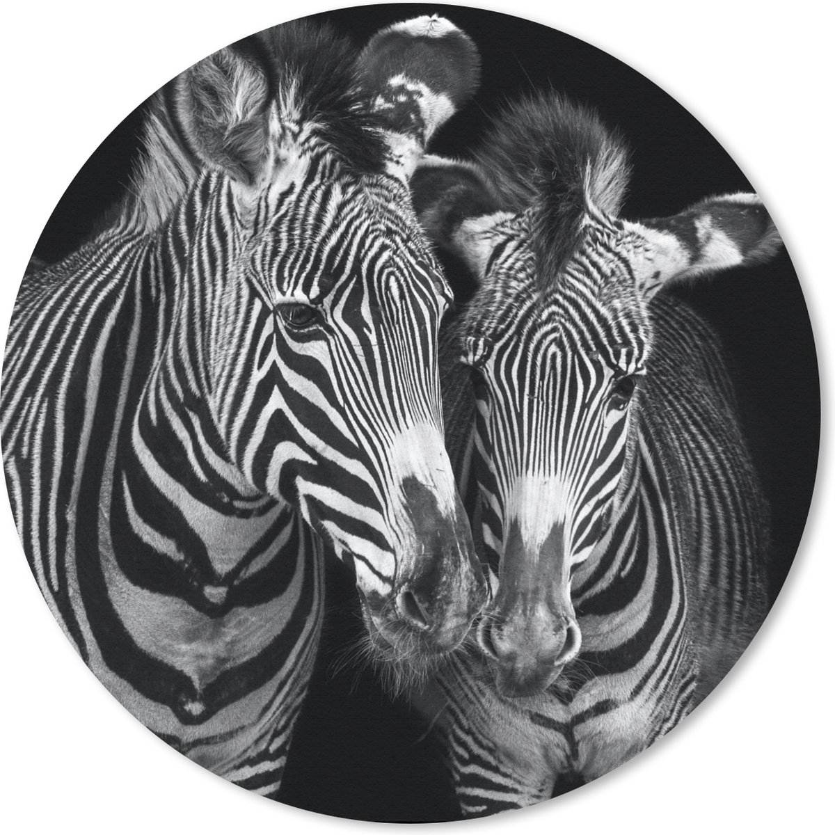 Muismat rond 50x50 cm - Mousepad Dierenprofiel zebra's in zwart-wit - Ronde muismatten
