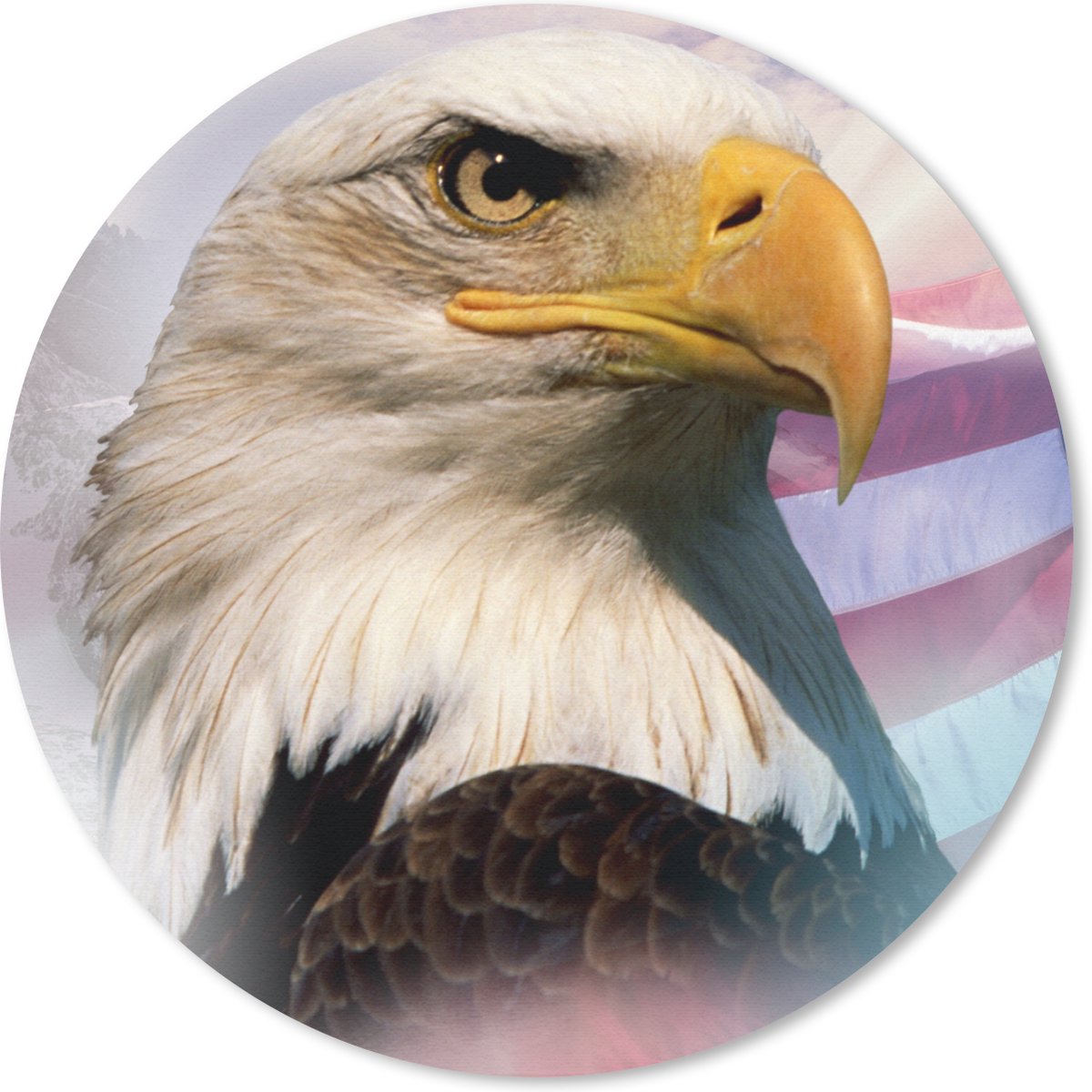 Muismat rond 30x30 cm - Mousepad Een Amerikaanse zeearend met een Amerikaanse vlag en bergen - Ronde muismatten