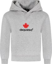 Dsquared2 Jongens Leaf Sweater Grijs maat 176