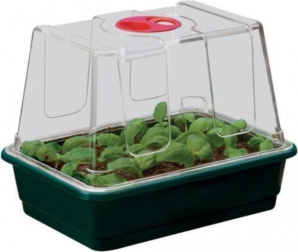 GARLAND KLEINE HIGH DOME PROPAGATOR 23X17X18CM