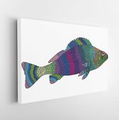 Canvas schilderij - Zentangle stylized color fish. Hand Drawn vector illustration. Books or tattoos with high details isolated on white background -     429258964 - 50*40 Horizonta