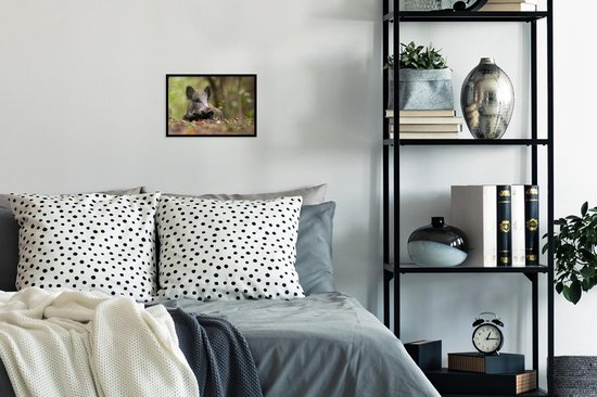 Cadre photo avec affiche - Sanglier - Forêt - Animal - 30x20 cm - Cadre pour affiche