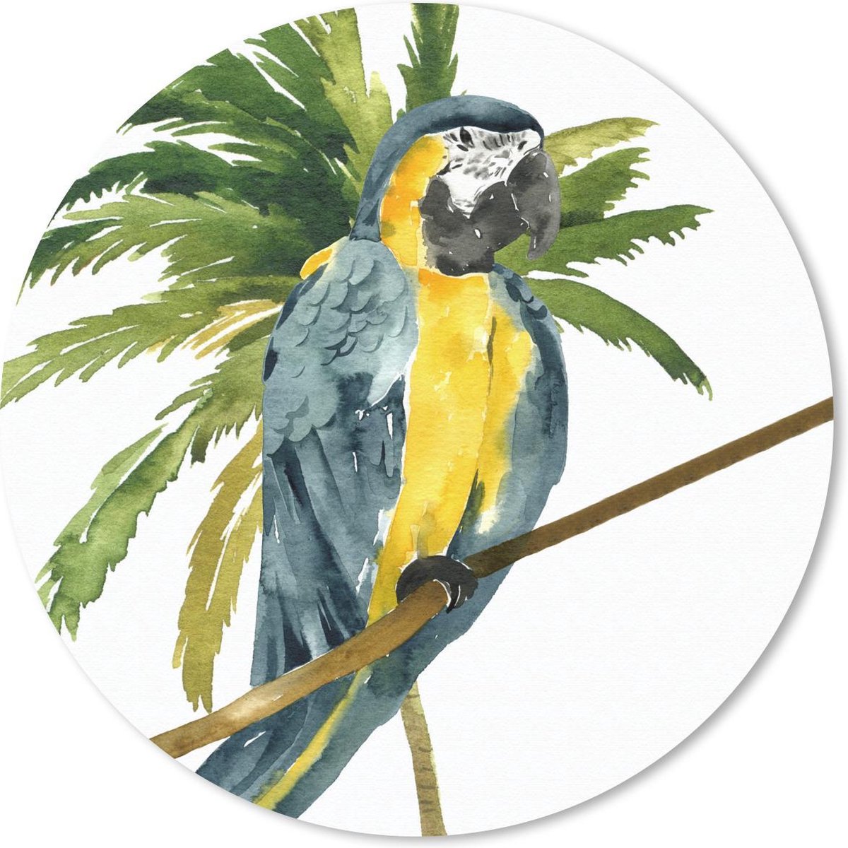 Muismat rond 50x50 cm - Mousepad Jungle - Papegaai - Tak - Ronde muismatten