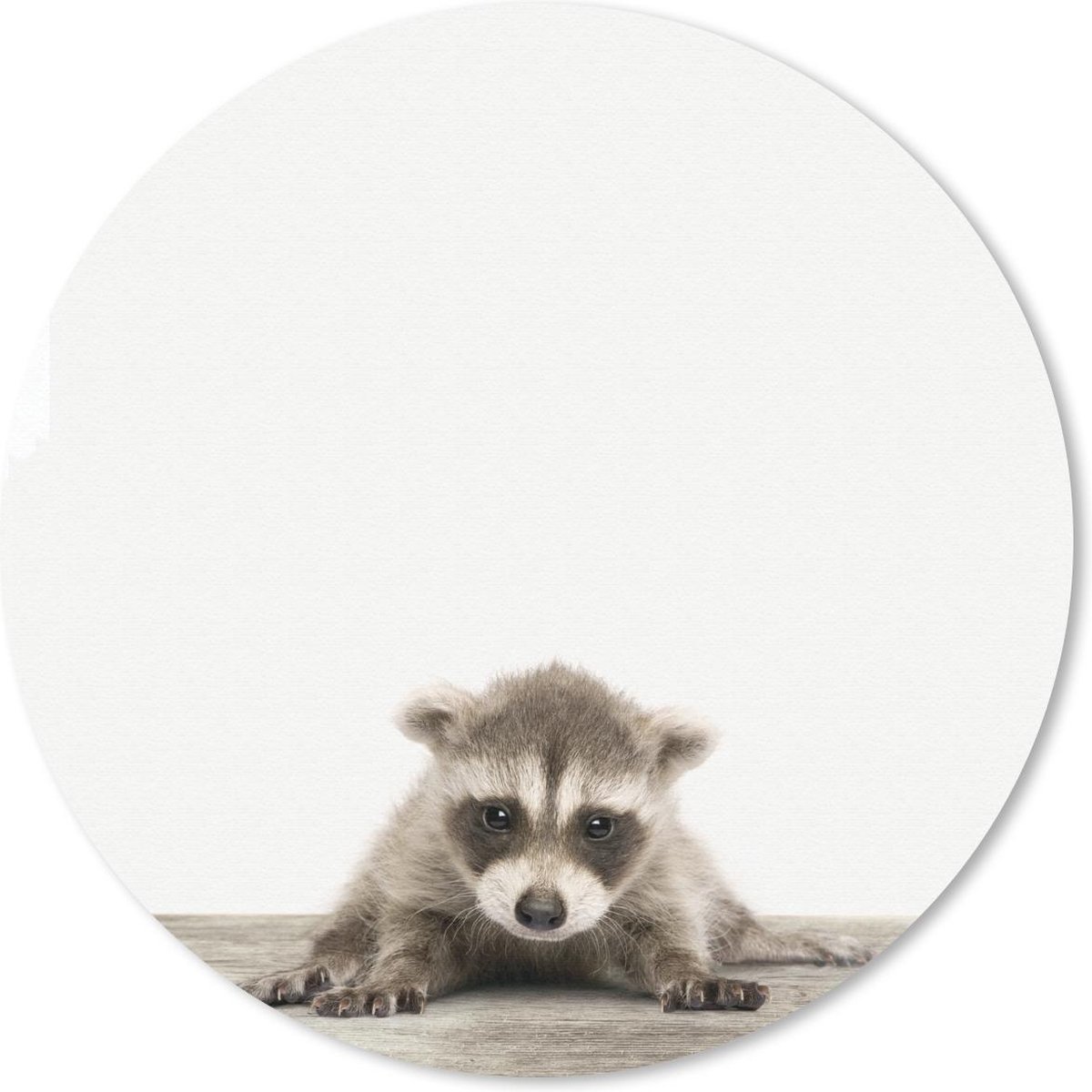 Muismat rond 20x20 cm - Mousepad Dieren - Wasbeer - Wit - Baby - Ronde muismatten