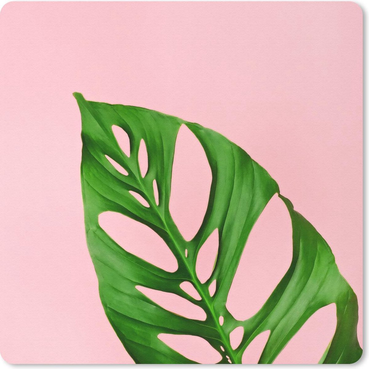 Muismat 30x30 cm - Mousepad Botanisch blad met felle kleur als achtergrond - Muismatten