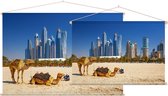 Kamelen op Jumeirah strand voor de skyline van Dubai - Foto op Textielposter - 45 x 30 cm