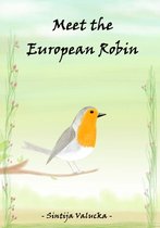 Meet the European Robin