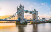 Panorama van de Tower Bridge over de Theems in Londen - Foto op Forex - 90 x 60 cm
