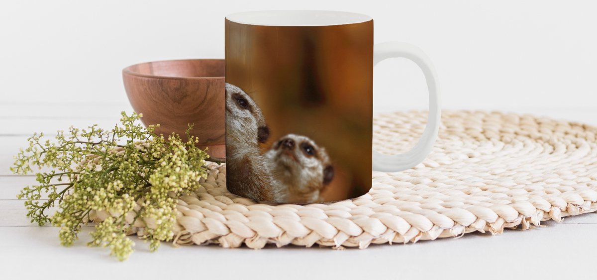 Mok - Koffiemok - Zon - Stokstaartjes - Familie - Mokken - 350 ML - Beker - Koffiemokken - Theemok