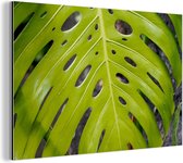Wanddecoratie Metaal - Aluminium Schilderij Industrieel - Groot botanisch blad van de gatenplant - 60x40 cm - Dibond - Foto op aluminium - Industriële muurdecoratie - Voor de woonkamer/slaapkamer