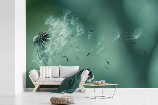 Graines de fotobehang de pissenlit