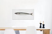 Canvas Schilderij Een losse makreel met een witte achtergrond - 90x60 cm - Wanddecoratie