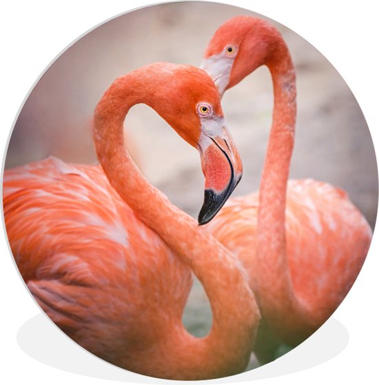 Deux flamants roses rouges forment ensemble un coeur Assiette en plastique  cercle... | bol.com