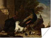 Poster Een hen met pauwen en een kalkoen - Schilderij van Melchior d'Hondecoeter - 40x30 cm