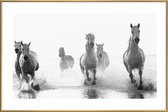 JUNIQE - Poster met kunststof lijst Galloping Through the Surf -30x45