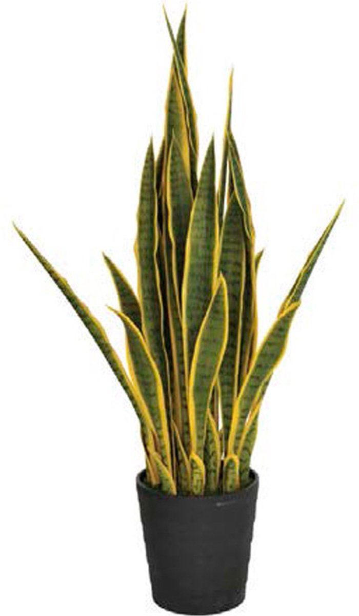 Intergard Kunstplanten Sansevieria vrouwentong 105cm bicolor Groen