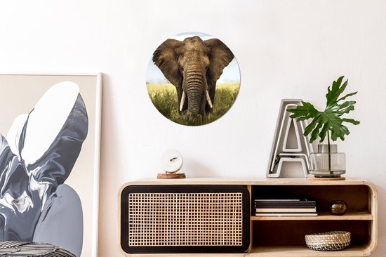 Cercle mural - Cercle mural Intérieur - ⌀ 30 cm - Plastique - Éléphant - Herbe - Champ