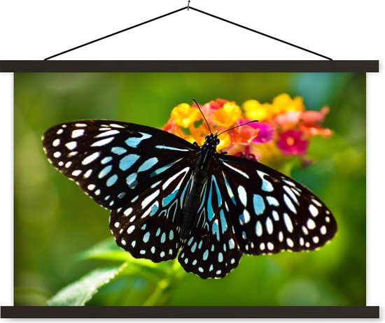 Affiche textielposter Blue Tiger Butterfly 60x40 cm