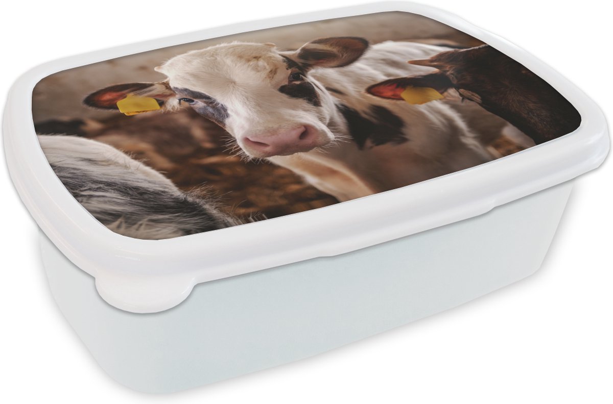 Broodtrommel Wit - Lunchbox - Brooddoos - Portret - Koe - Stal - 18x12x6 cm - Volwassenen
