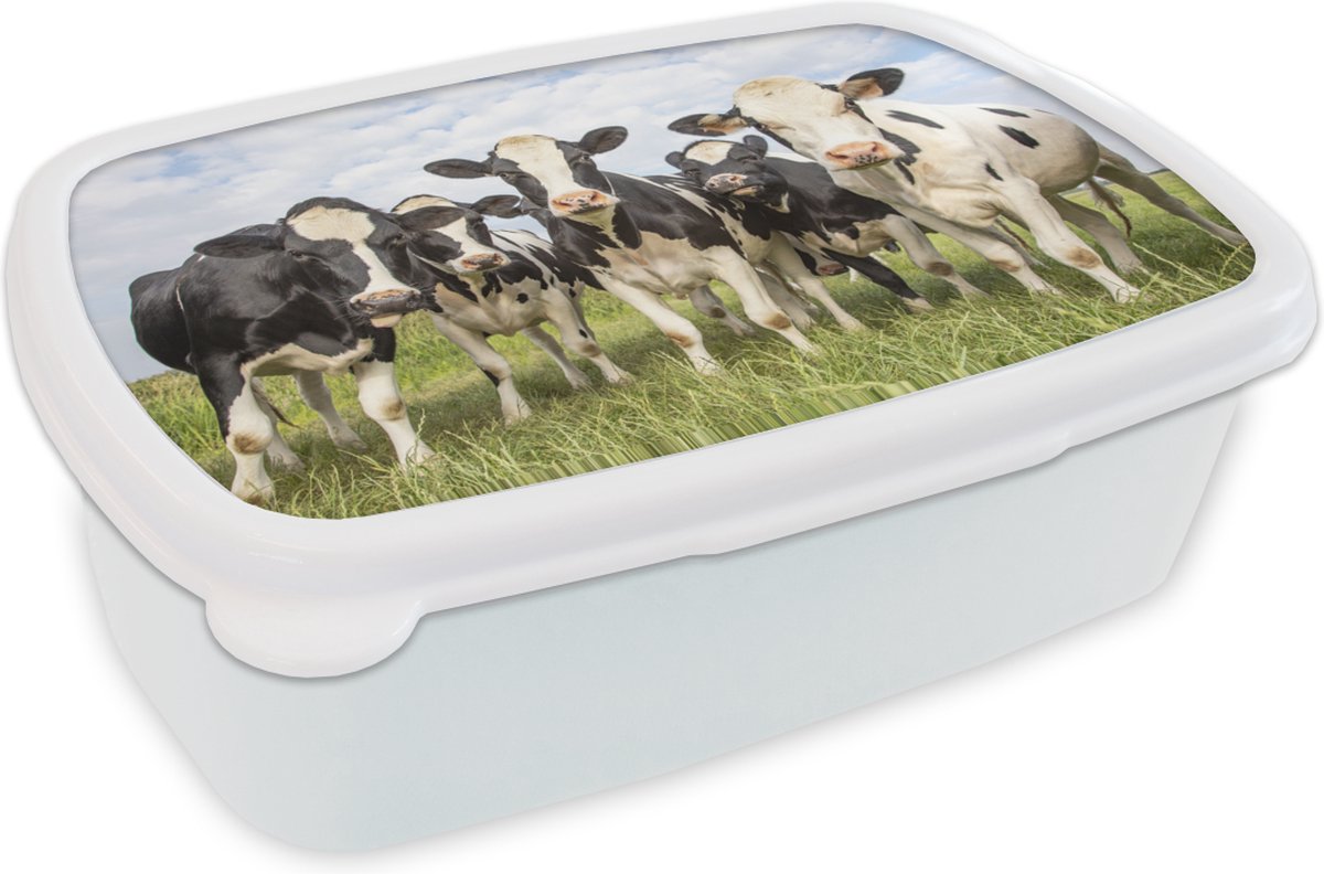 Broodtrommel Wit - Lunchbox - Brooddoos - Koe - Gras - Wolken - 18x12x6 cm - Volwassenen