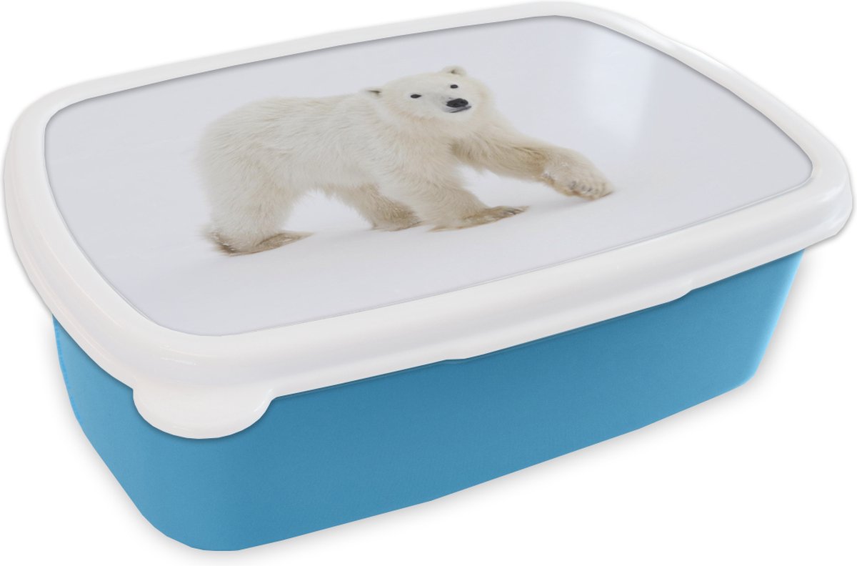 Broodtrommel Blauw - Lunchbox - Brooddoos - IJsbeer - Sneeuw - Wit - 18x12x6 cm - Kinderen - Jongen