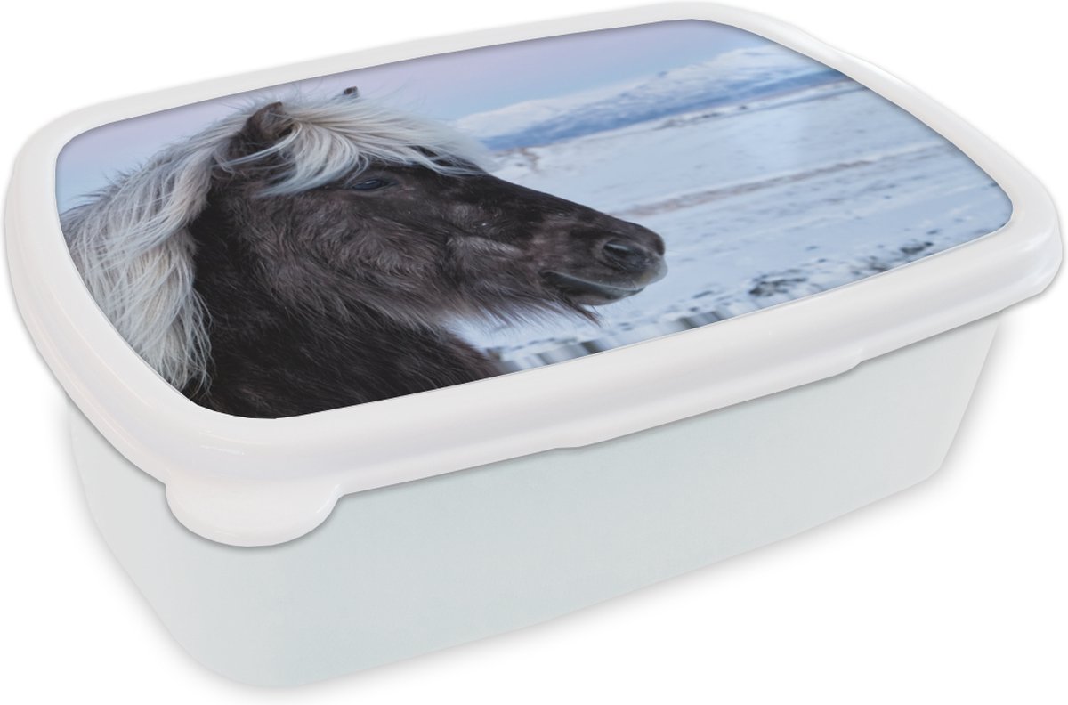 Broodtrommel Wit - Lunchbox - Brooddoos - Paard - Sneeuw - Bruin - 18x12x6 cm - Volwassenen