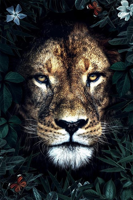 Lion king – 60cm x 90cm - Fotokunst op PlexiglasⓇ incl. certificaat & garantie.