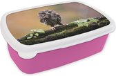 Broodtrommel Roze - Lunchbox - Brooddoos - Kleine uil - 18x12x6 cm - Kinderen - Meisje
