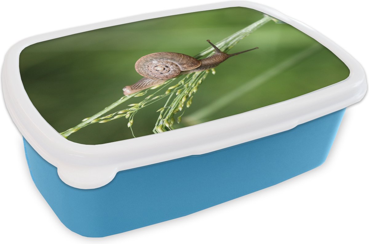 Broodtrommel Blauw - Lunchbox - Brooddoos - Kruipende slak - 18x12x6 cm - Kinderen - Jongen