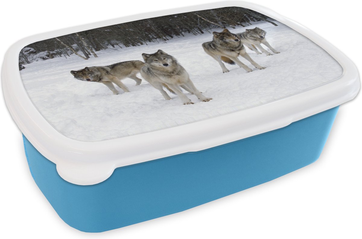 Broodtrommel Blauw - Lunchbox - Brooddoos - Wolf - Sneeuw - Canada - 18x12x6 cm - Kinderen - Jongen