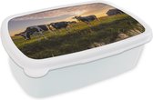 Broodtrommel Wit - Lunchbox - Brooddoos - Koe - Dier - Weiland - 18x12x6 cm - Volwassenen
