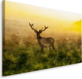 Schilderij - Hert in de Mist, Premium Print