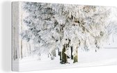 Canvas Schilderij Winter - Sneeuw - Boom - 80x40 cm - Wanddecoratie