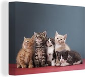 Canvas Schilderij Kittens - Blauw - Roze - Meisjes - Kinderen - Jongens - Kind - 40x30 cm - Wanddecoratie