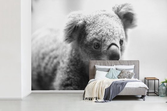 Papier peint - Papiers Papier peint photo Un gros plan d'un koala - noir et  blanc 