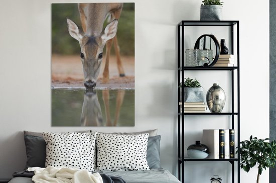 Toile de cerf à boire 80x120 cm - Tirage photo sur toile (Décoration murale salon / chambre) / Peintures sur toile Animaux