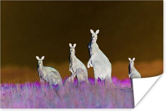 Kangoeroefamilie Poster 60x40 cm - Foto print op Poster (wanddecoratie woonkamer / slaapkamer) / Wilde dieren Poster
