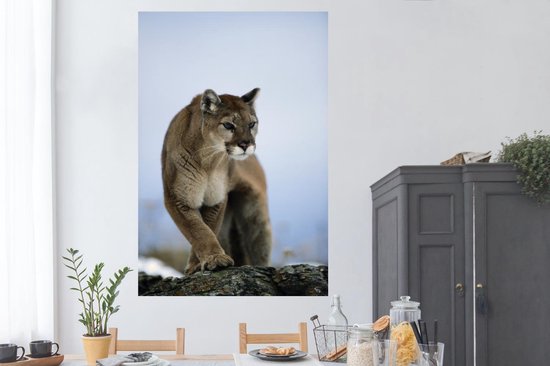 Poster Puma on rock 120x180 cm - Tirage photo sur Poster (décoration murale salon / chambre) / Poster Animaux XXL / Groot format!