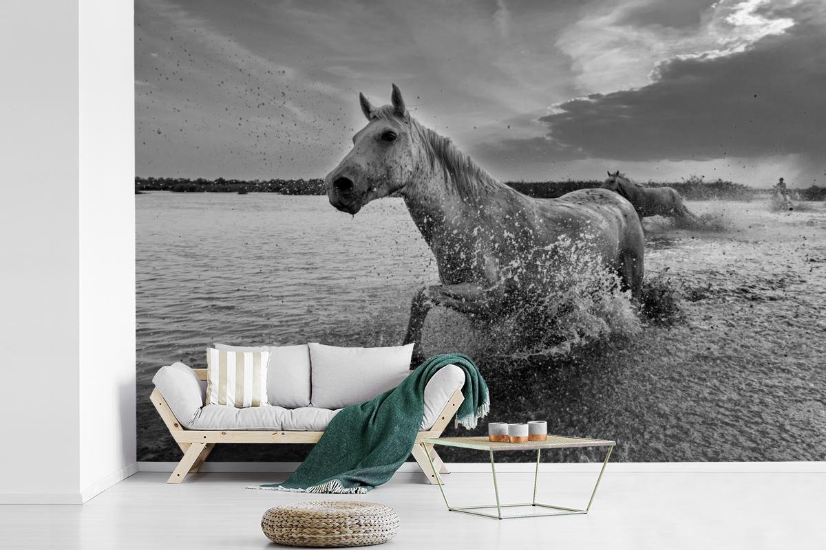 Behang - Fotobehang Paard - Water - Druppel - Breedte 525 cm x hoogte 350 cm