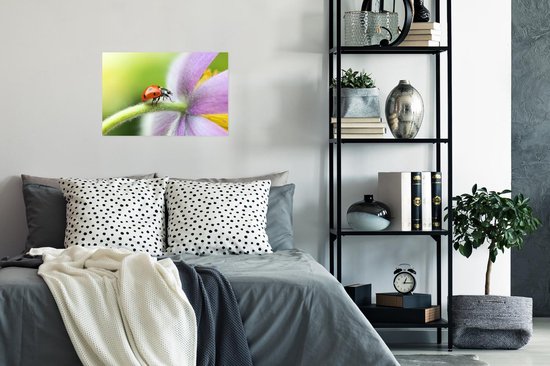 Affiche Coccinelle sur une fleur - 30x20 cm
