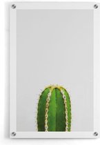 Walljar - Cactus II - Muurdecoratie - Plexiglas schilderij