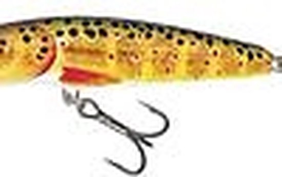 Salmo - Minnow flottant | Fiche | Holo Real Minnow | 7cm - Argent