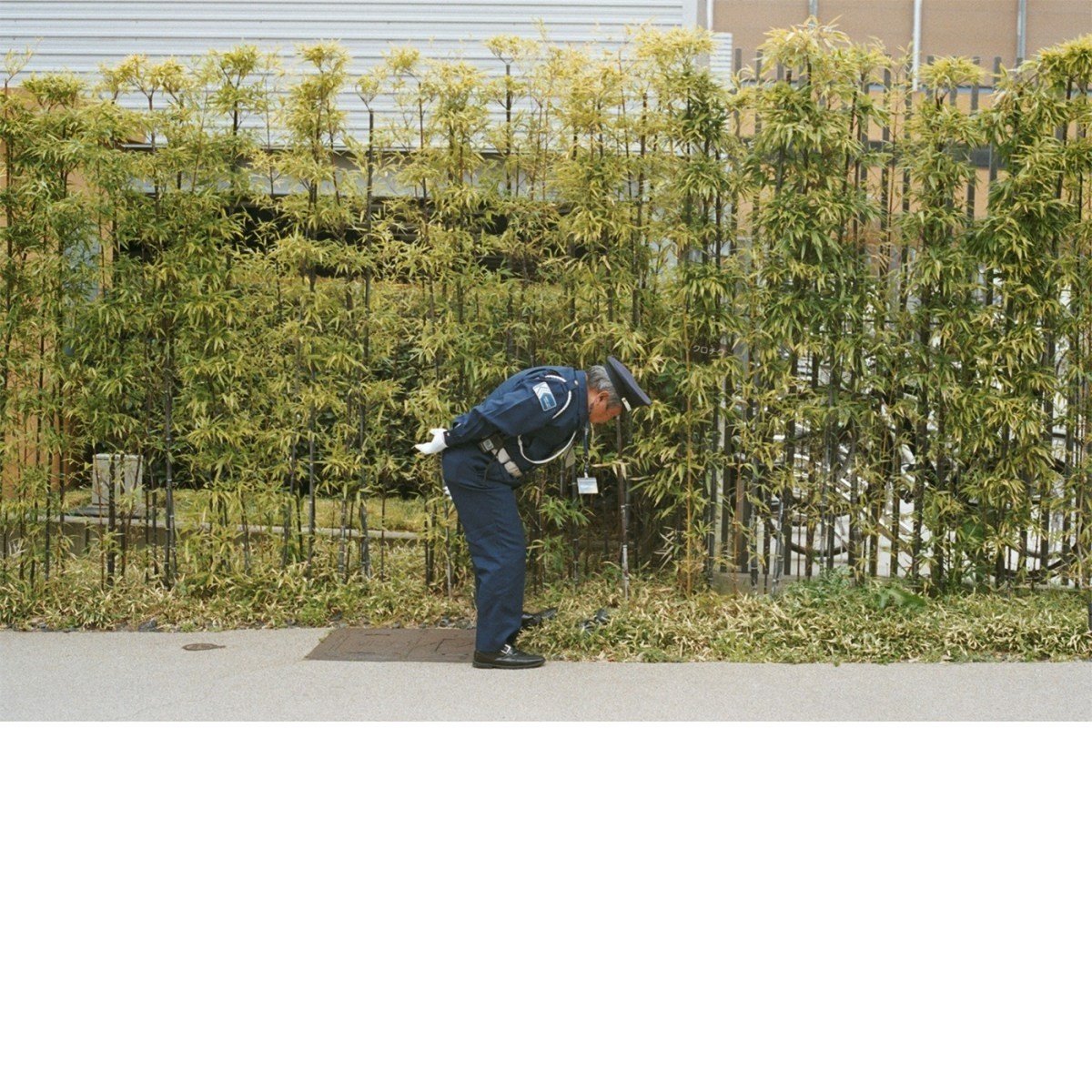 Gold Panda - Good Luck And Do Your Best (CD)