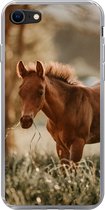 Geschikt voor iPhone SE 2020 hoesje - Paard - Licht - Weide - Siliconen Telefoonhoesje