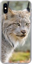 Geschikt voor iPhone Xs Max hoesje - Lynx - Bos - Grijs - Siliconen Telefoonhoesje