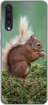 Geschikt voor Samsung Galaxy A50 hoesje - Eekhoorn - Bos - Mos - Siliconen Telefoonhoesje