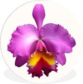 Assiette en plastique circulaire Close-up Orchid Wall ⌀ 140 cm