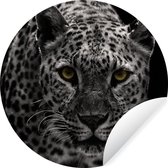Wallpaper Circle - Léopard - Zwart - Wit - ⌀ 30 cm - Wall Circle
